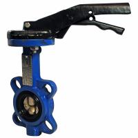 картинка Затвор чугунный дисковый SKS PN 16 Ду 65